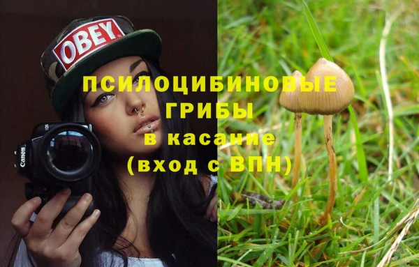 ешки Арсеньев