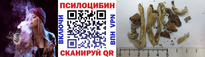 цена   Спасск-Дальний  Галлюциногенные грибы Psilocybine cubensis 